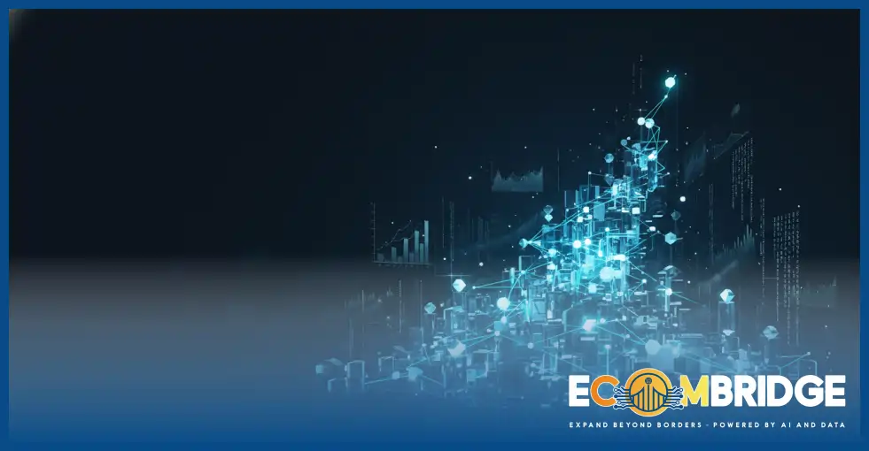  The EcomBridge Framework Explained